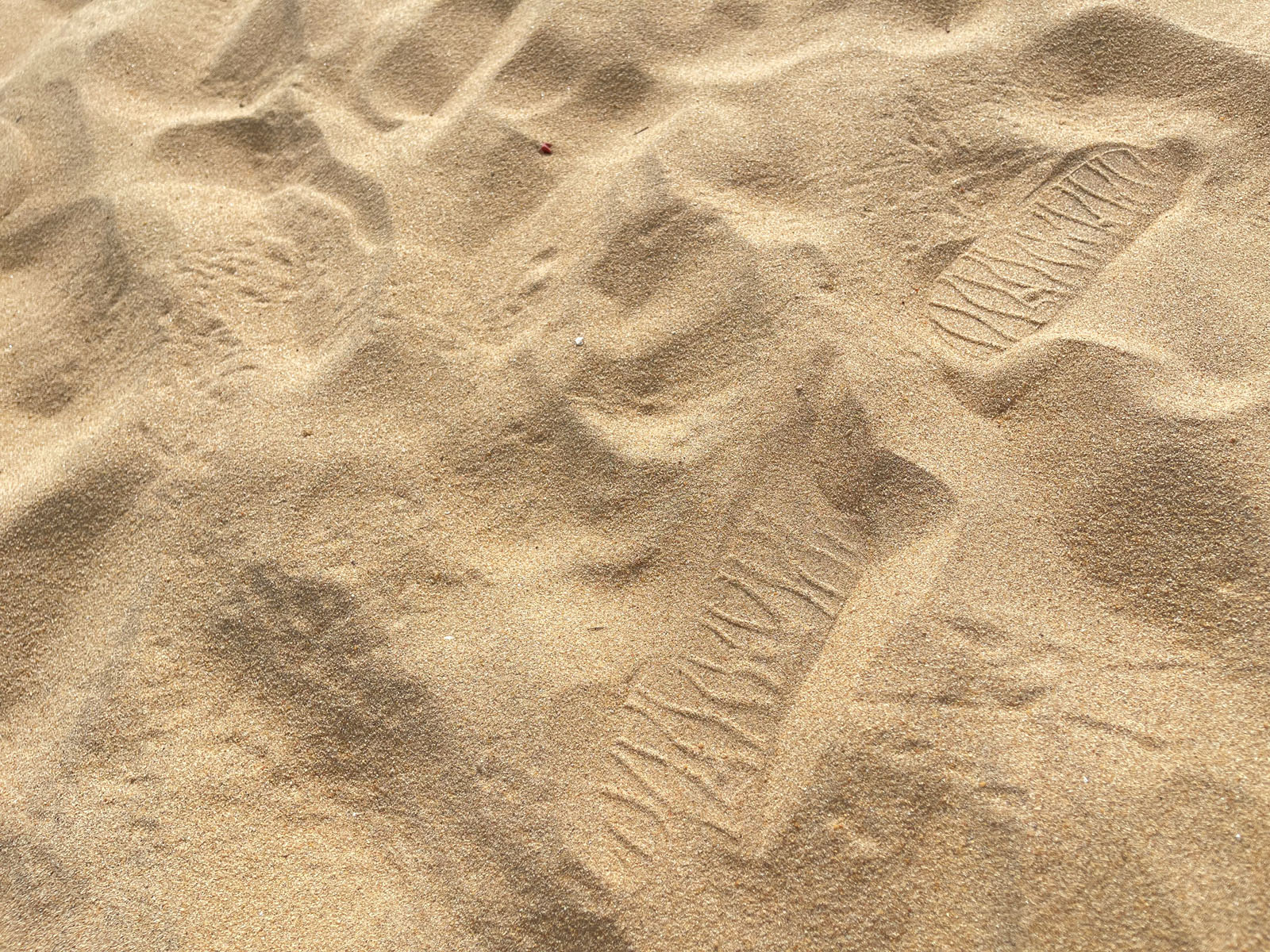Free sand dune textures