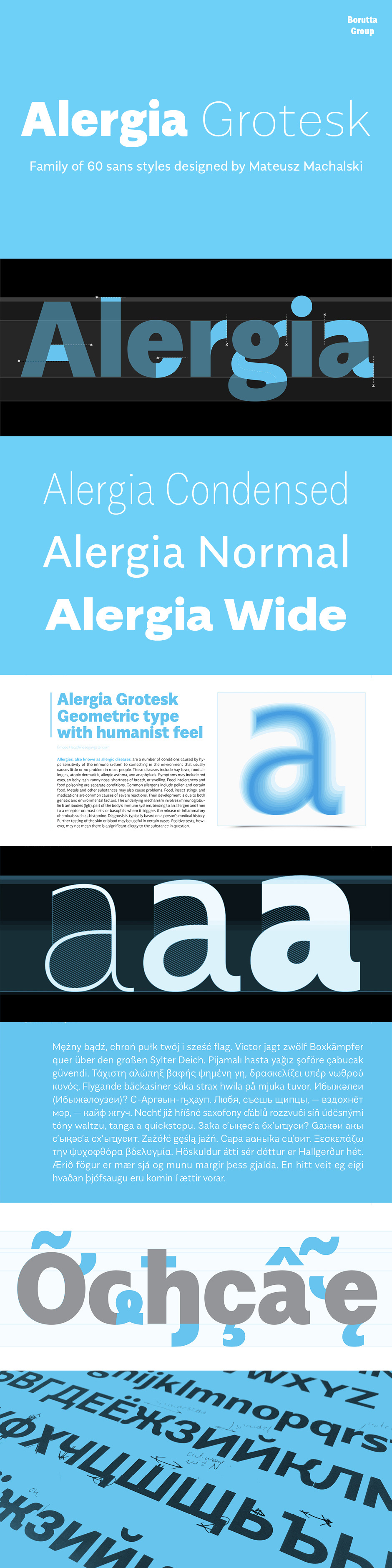 Definitive Fonts Bundle Alergia Grotesk