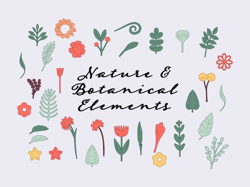 Nature and botanical vector elements